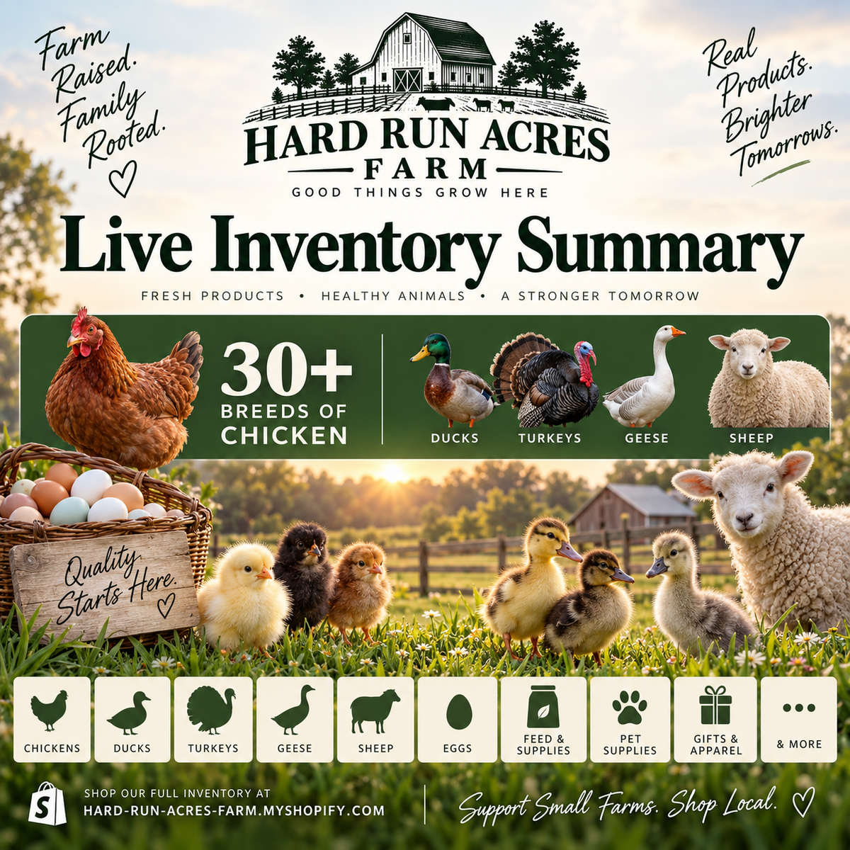 Live Inventory List