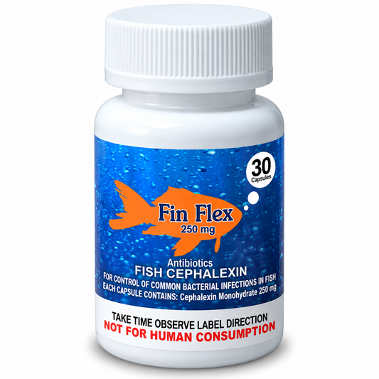 Fish Cephalexin 250 mg – 30 Capsules