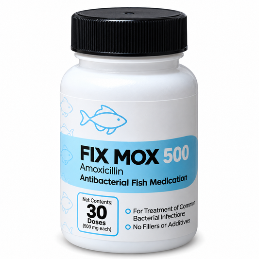 Fish Mox Amoxicillin 500 mg – 30 Capsules