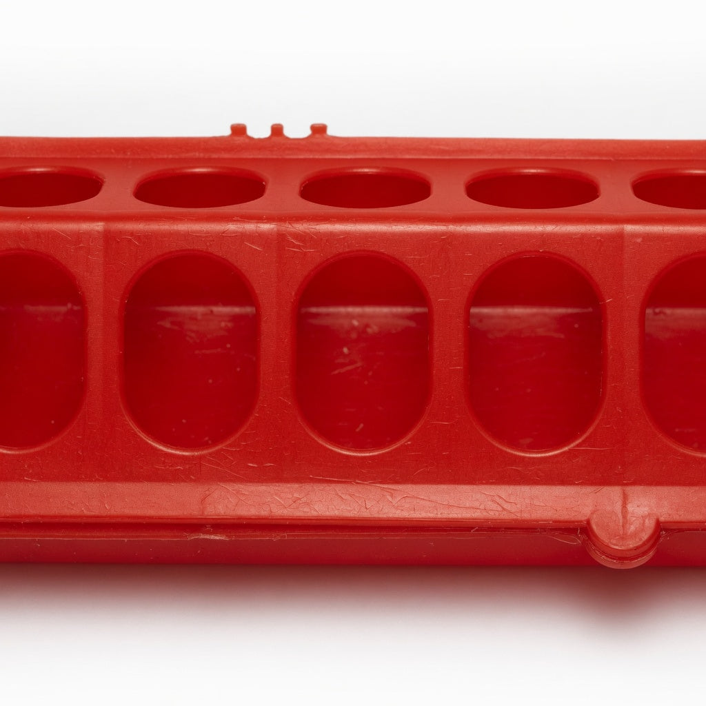 Little Giant Flip-Top Poultry Ground Feeder